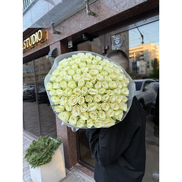 101 троянда Вайт Атена 