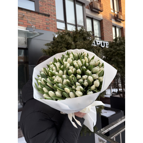 101 білий тюльпан