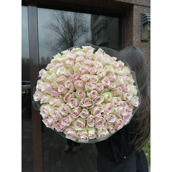 101 троянда Пінк атена