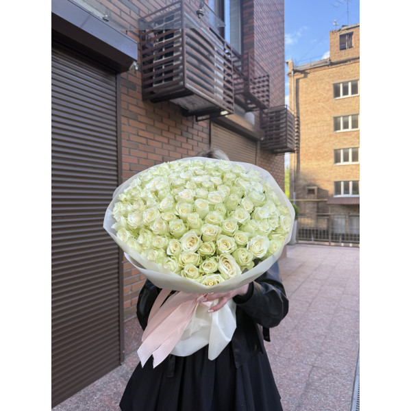 151 троянда Вайт Атена 