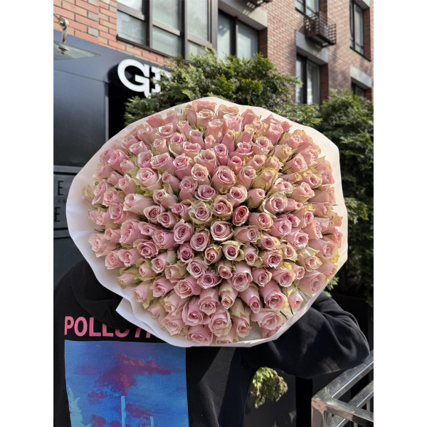 151 троянда Пінк Атена 