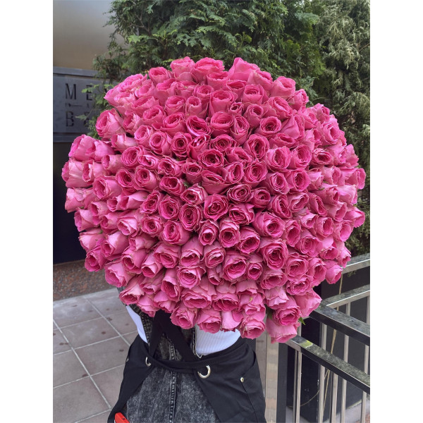 151 троянда Вотергейм 