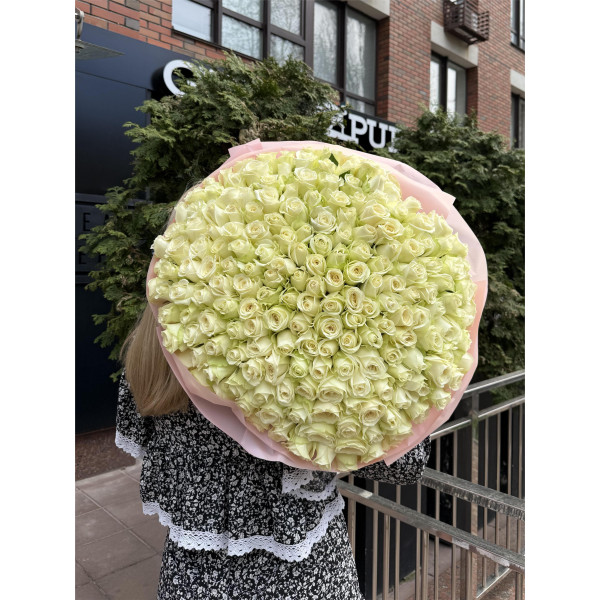 201 біла троянда Альбатрос 