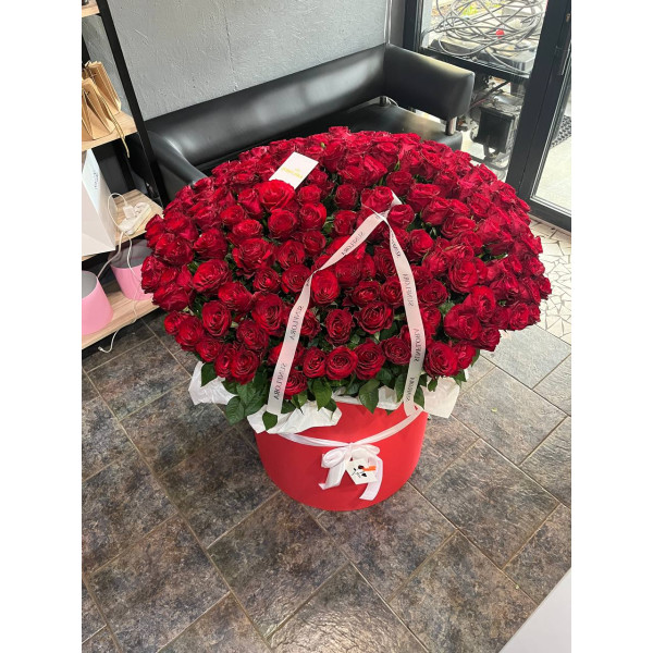 201 червона троянда в коробці