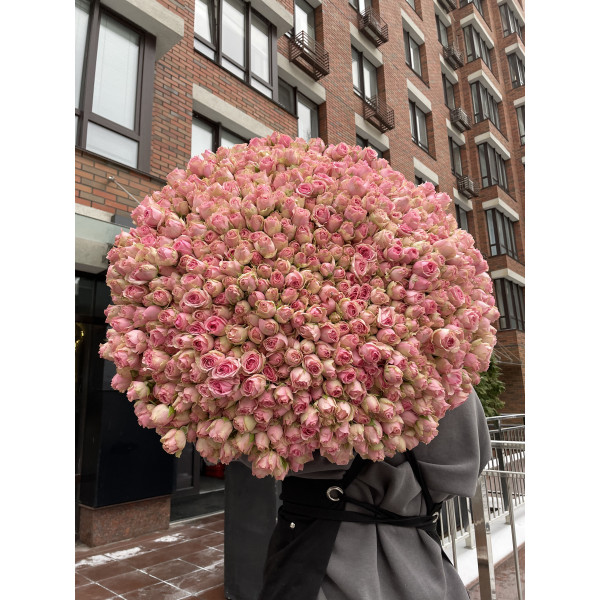 201 гілочка кущової троянди Дінара