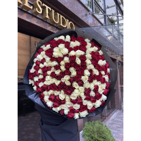 201 троянда мікс білих і червоних 