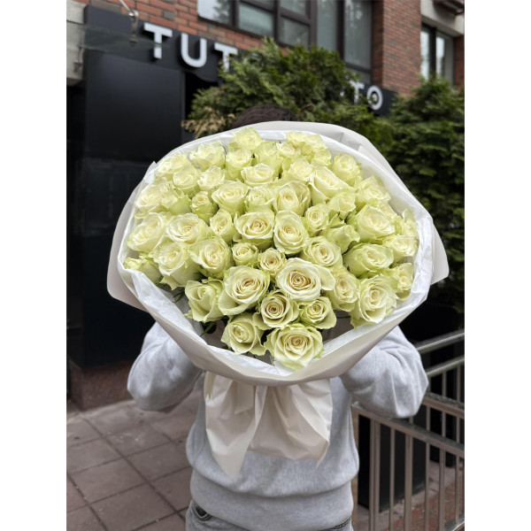 51 троянда Вайт Атена 