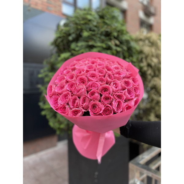 51 троянда Вотергейм 51 троянда Вотергейм