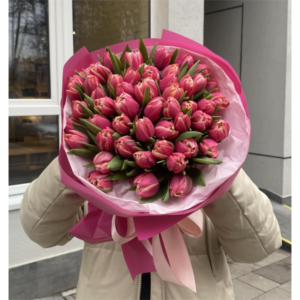 51 тюльпан Колумбус