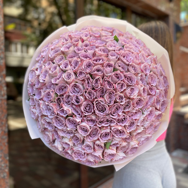 151 фіолетова троянда Меморі Лейн 