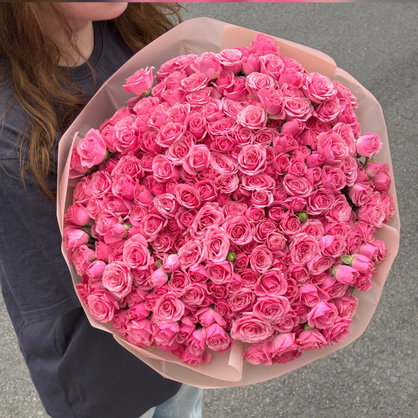 101 гілочка кущової троянди Пінк бум