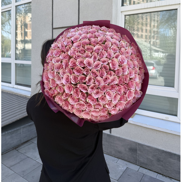 151 роза Атена роял